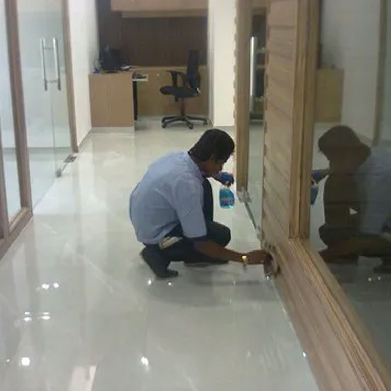 Office Boy Provided Company in Gurugram | Housekeeping Services in Noida